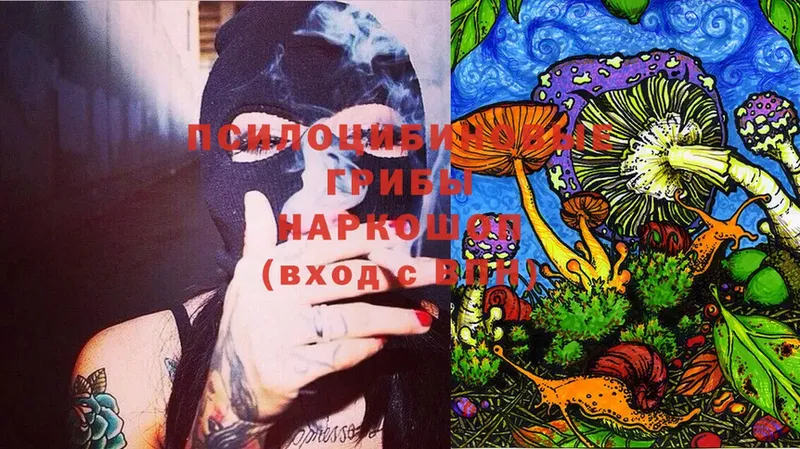 Галлюциногенные грибы Magic Shrooms  Жиздра 